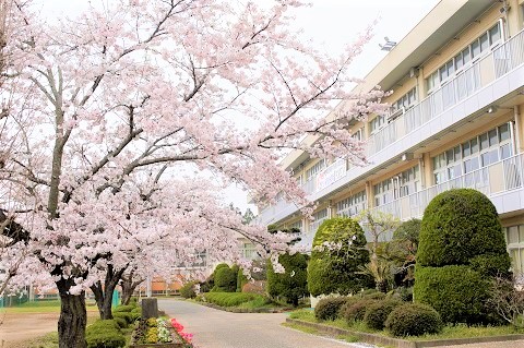 新利根中学校イメージ